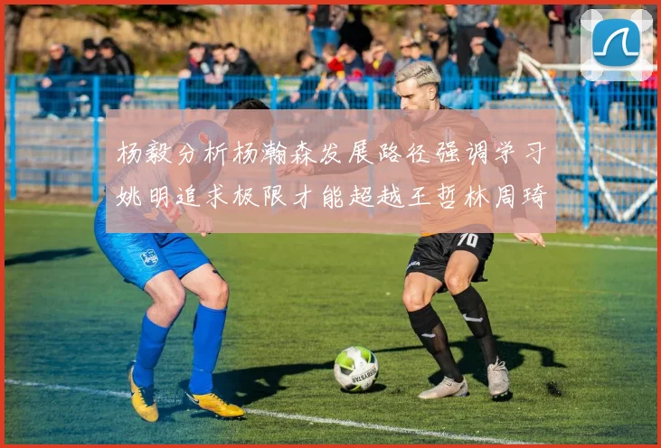 杨毅分析杨瀚森发展路径强调学习姚明追求极限才能超越王哲林周琦状态
