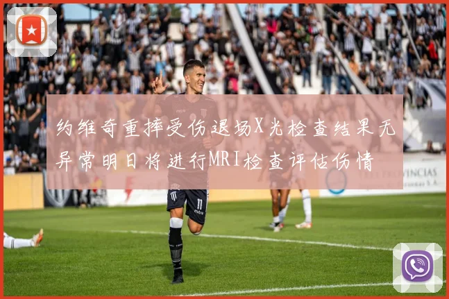 约维奇重摔受伤退场X光检查结果无异常明日将进行MRI检查评估伤情