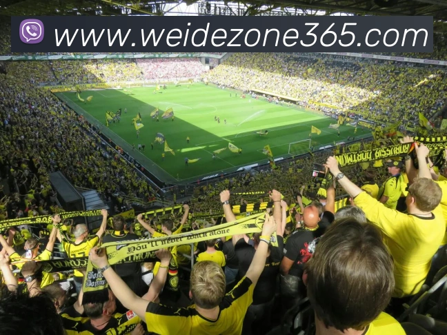 伟德国际服务体系